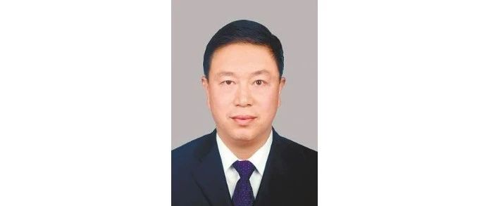 田华兵，主动投案