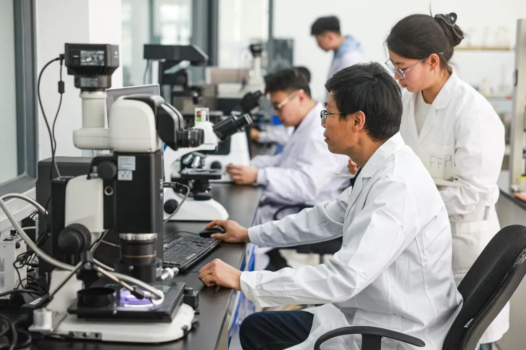 在沈阳农业大学实验室里，研究人员在工作。