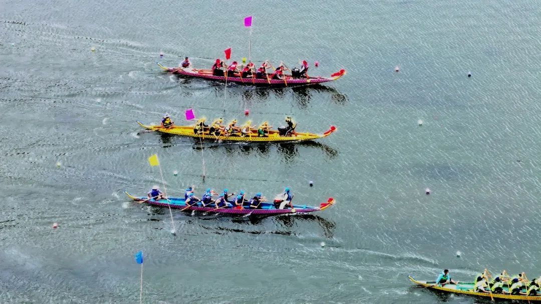 龙舟争渡。赖春富 摄
