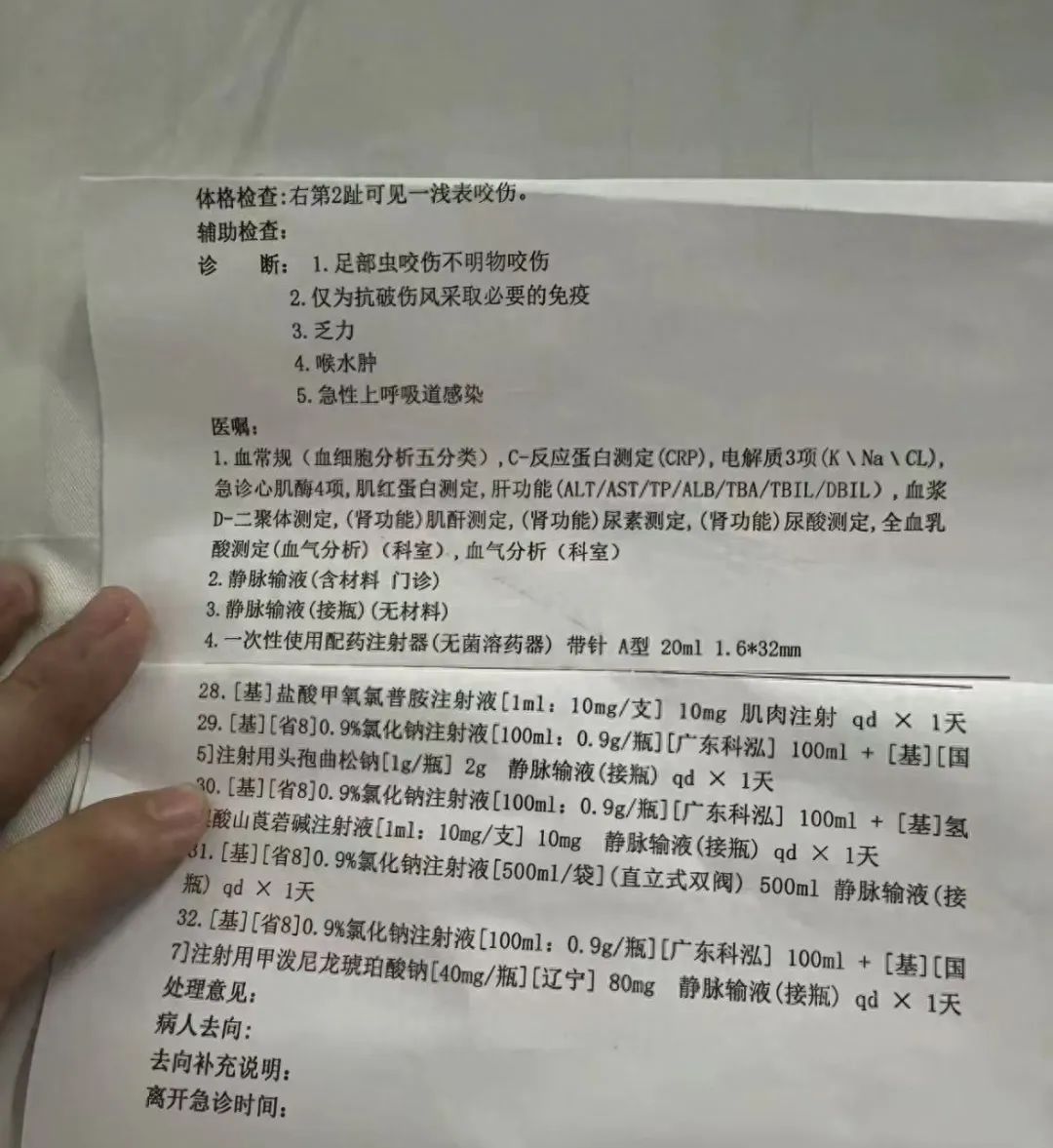 女子在三亚被不明物咬伤后身亡,官方通报