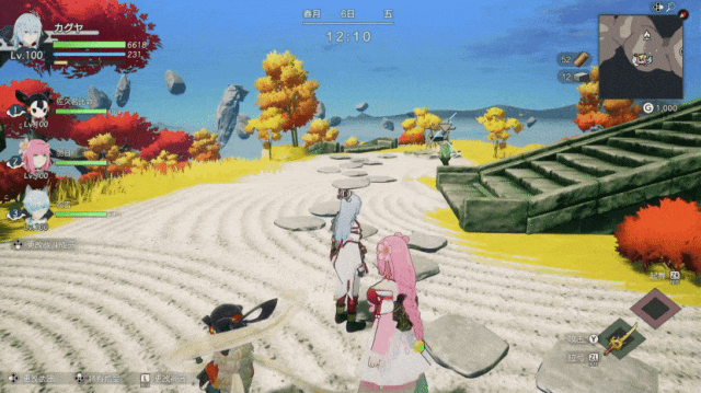 Switch录制的画面效果