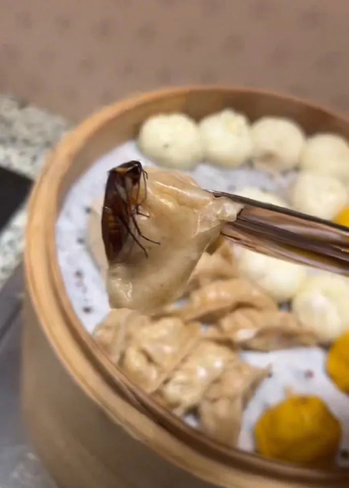 钟女士拍摄的问题餐食图片