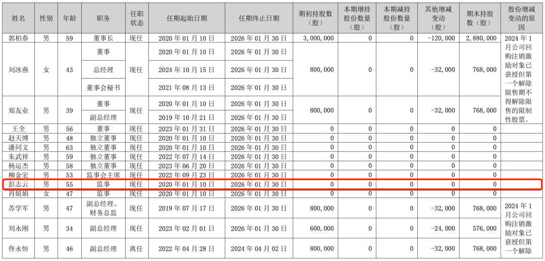 (亚钾国际2024年财报截图)