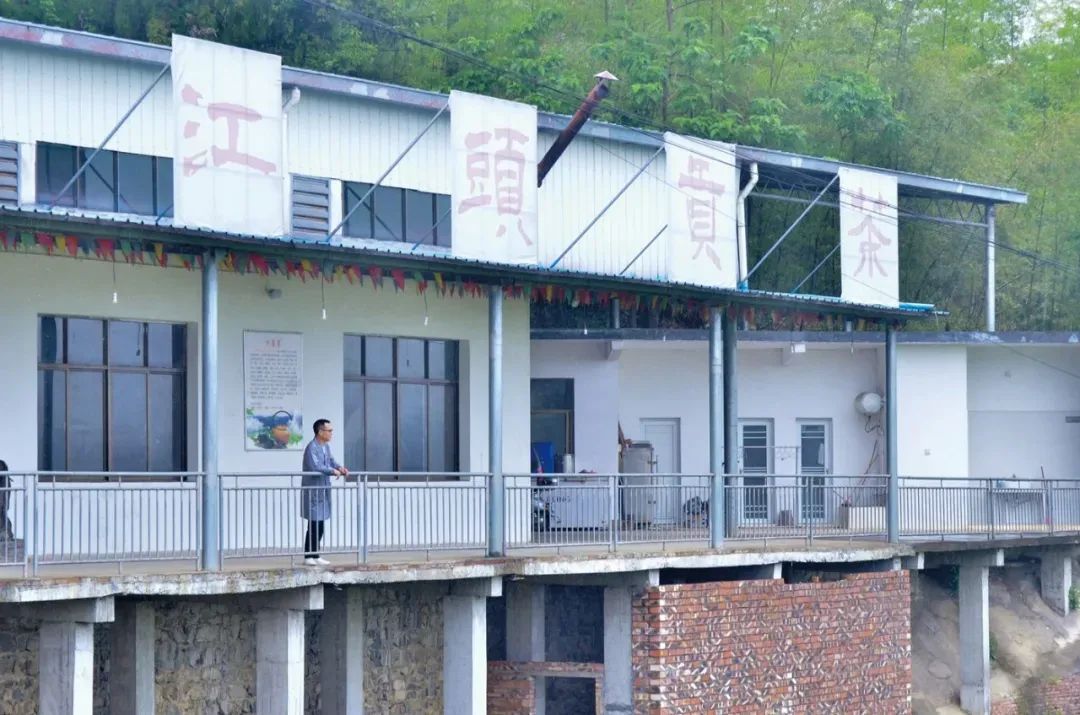 湖南耒阳，严军在自家茶厂。（图/由记者提供）