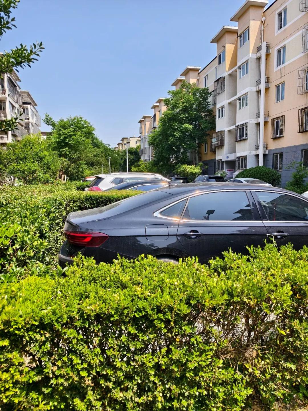 高林东房源所在小区。讲述者供图