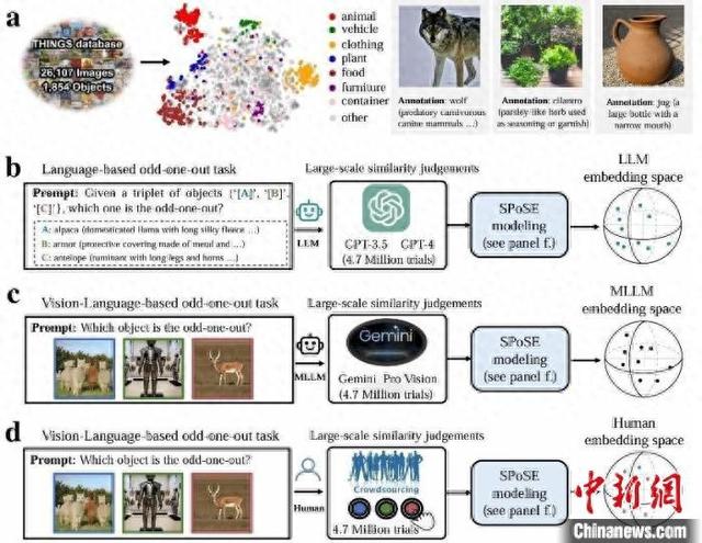 本项研究的实验范式示意图。中国科学院自动化所 供图