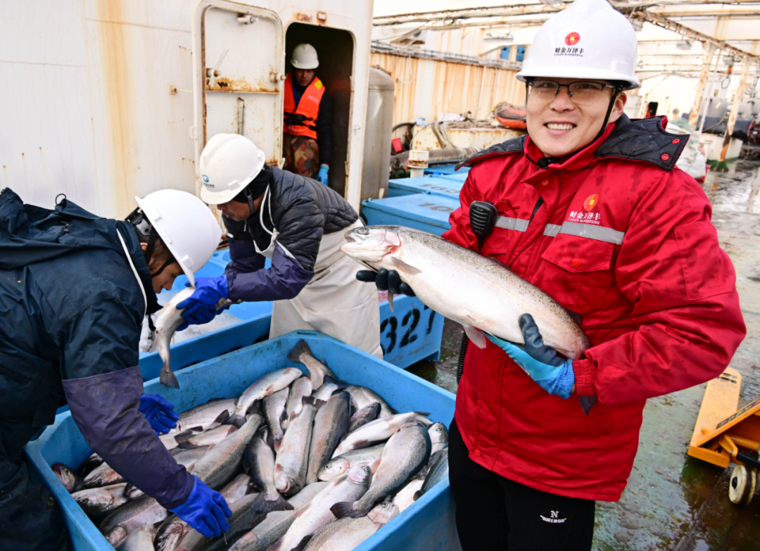 2025年1月，“深蓝2号”收鱼，养殖班组长王昌军在展示收获的三文鱼。新华社记者 李紫恒 摄