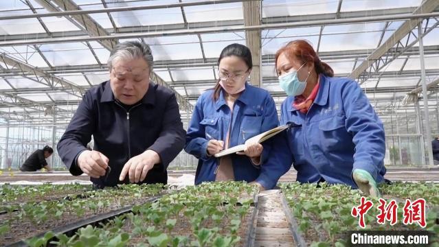 图为关慧明(左)与同事探讨蔬菜幼苗的长势。 王兆 摄