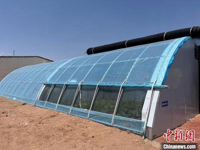 图为戍边牧民的温室。 塔娜 摄