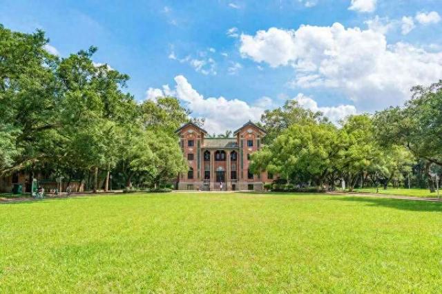 中山大学校园。受访者供图