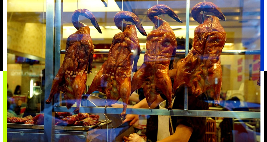 20街烤鸭,鸭圈的米拉格罗工业