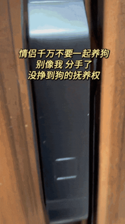 主人给狗子喂不喜欢的菜，狗子前一秒乖乖入口，下一秒直接tui垃圾桶...狗子：意思意思得了，你懂我的意思吗...