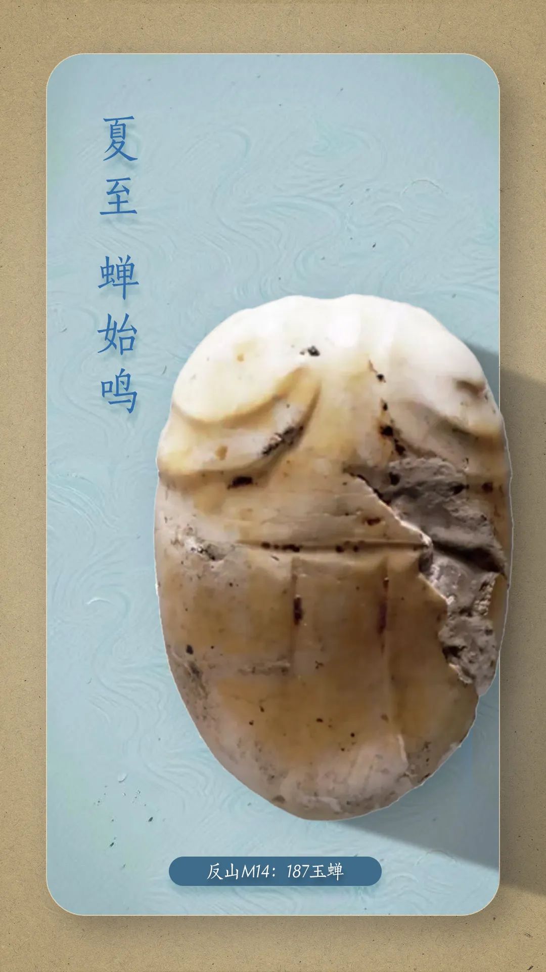 图片来源：浙江省文物考古研究所