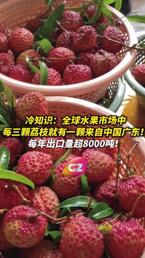 广东荔枝占全球三分之一份额，年出口超8000吨热销海外|广东|荔枝_新浪新闻