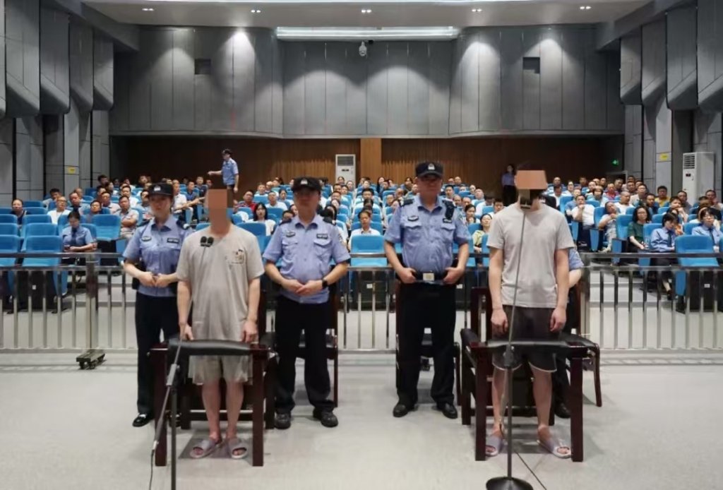庭审现场 来源:临湘法院