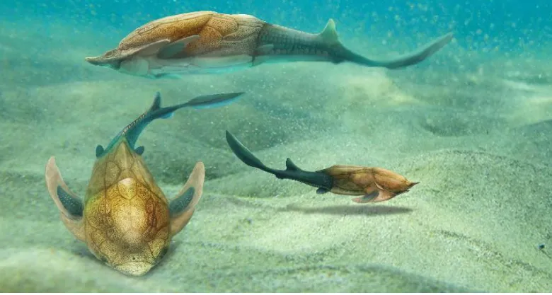 长吻麒麟鱼生态复原图（杨定华绘）