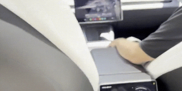 ▲海外用户体验特斯拉Robotaxi