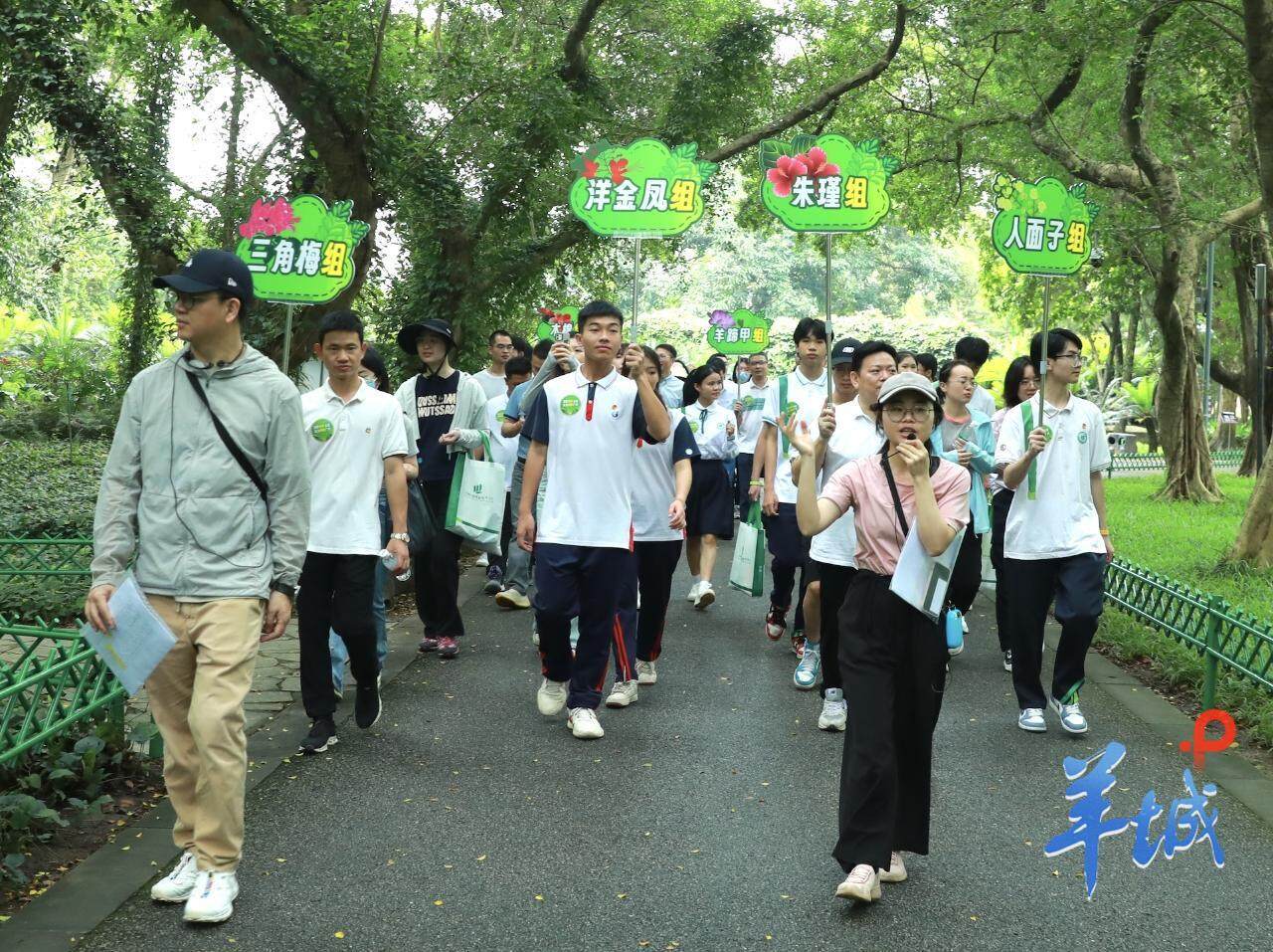 林毅夫视频
