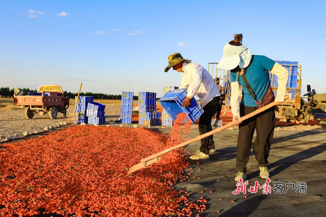 来源：新甘肃客户端（