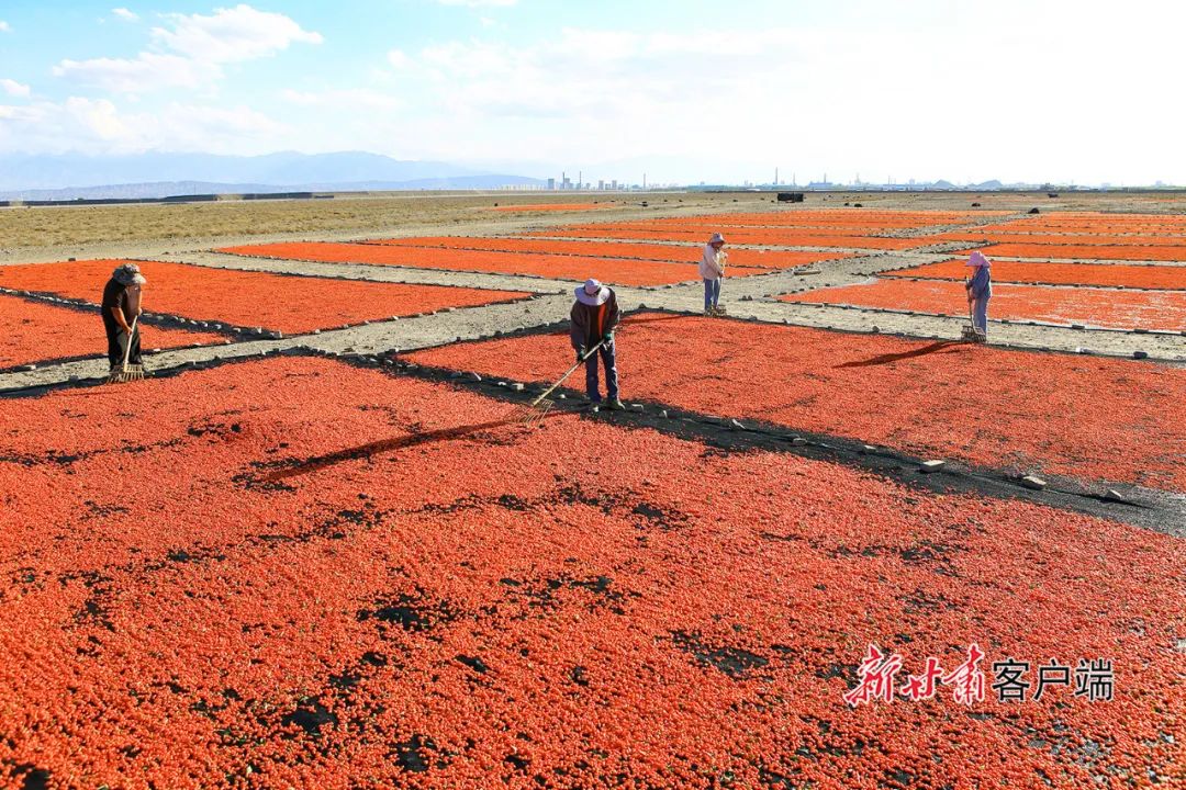 来源：新甘肃客户端（