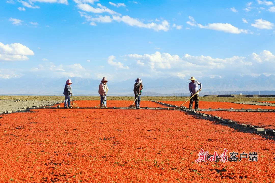 来源：新甘肃客户端（