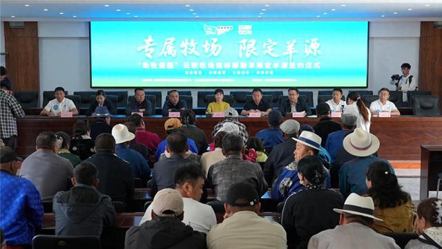 签约大会现场。（资料图）