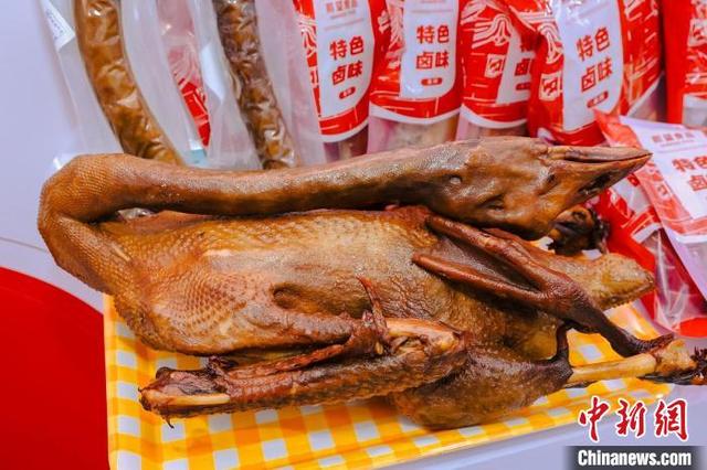 狮头鹅。广东省对口支援新疆工作前方指挥部 供图