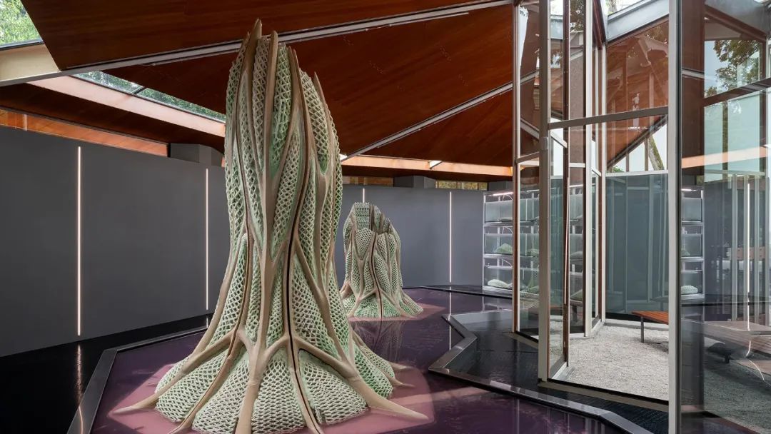 “浮游生物”展示了由光合结构制成的大型物体。图片来源：Valentina Mori