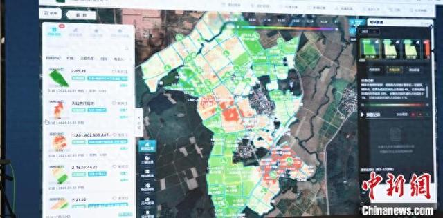 图为甘蔗种植AI大模型系统展示相关数据。林浩 摄
