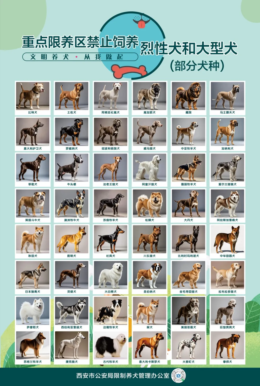西安市重点限养区禁止饲养烈性犬和大型犬部分犬种图（图源：西安市养犬服务平台）