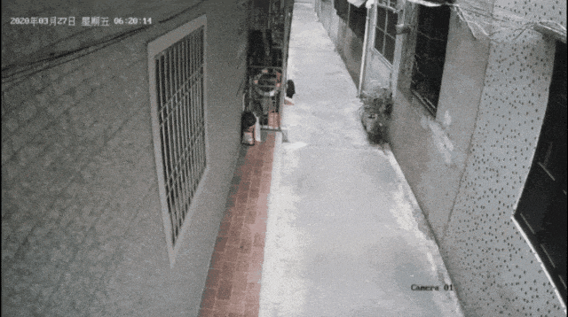 燃气闪爆丨图片来源网络