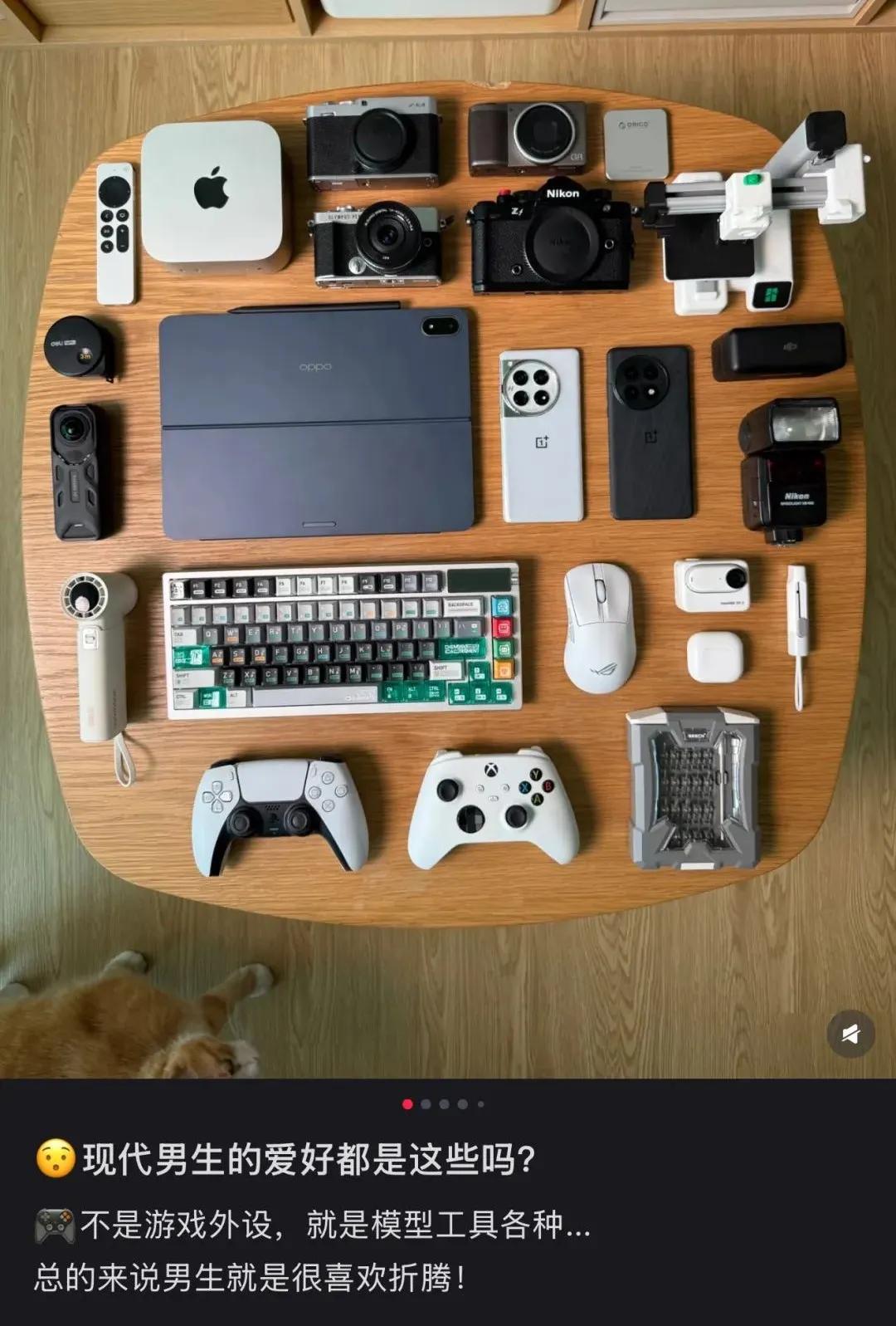 图源小红书用户@饼干饼干🍪