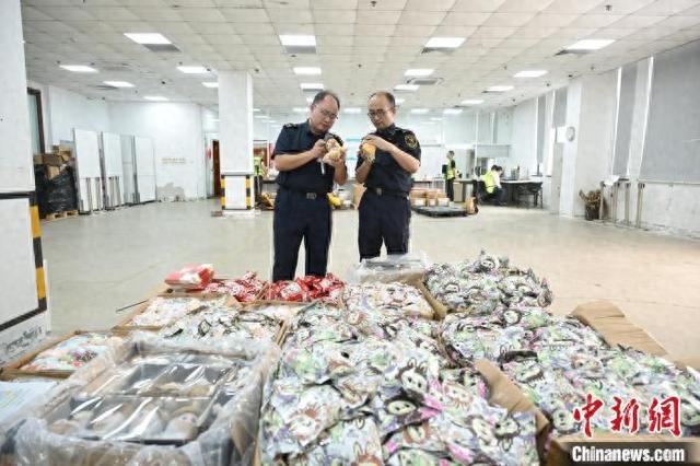 上海浦东国际机场海关查获的侵权泡泡玛特货物。谢宗赢 摄