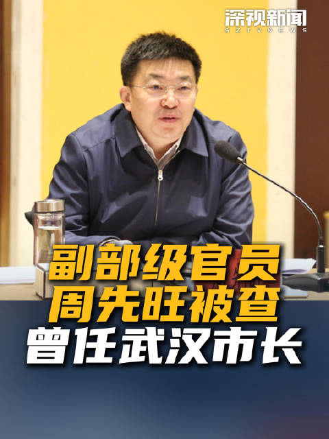 副部级官员周先旺被查 曾任武汉市长|武汉市|周先旺|中央纪委|湖北省|党组成员_新浪新闻