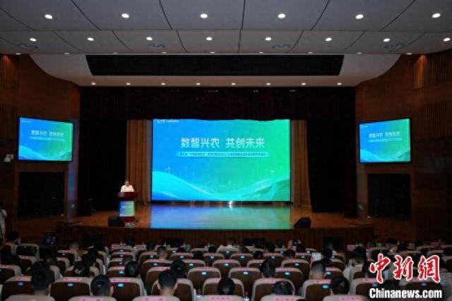 活动现场。 主办方 供图