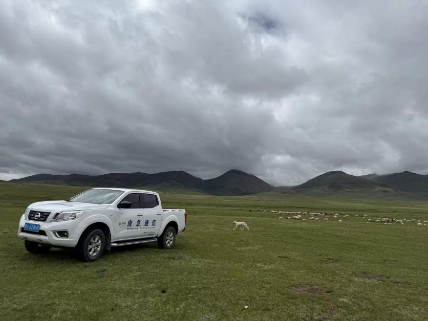 十年的日记，山和村庄的巨大变化：棕熊的恐慌