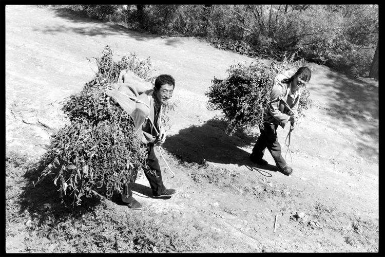 白整荣李延梅夫妇。1999年摄