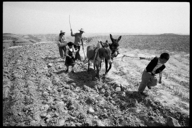 王宁刚房志珍夫妇带着儿子王帅和王佳丽正在堂子梁春播。1996年摄