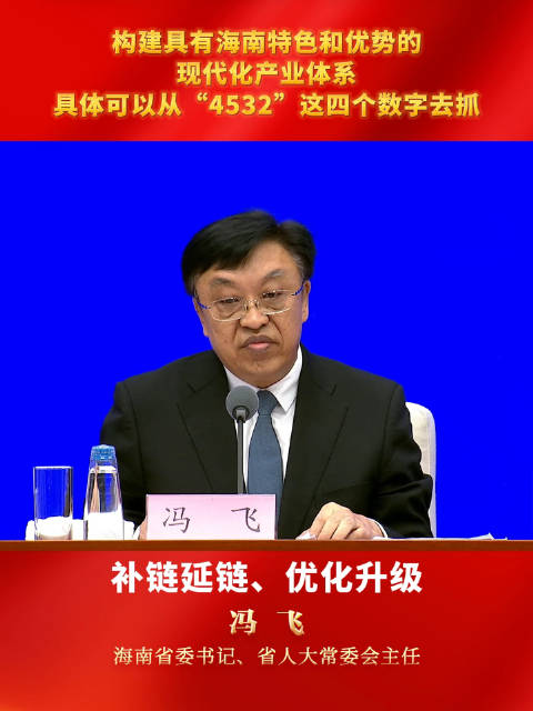 冯飞:构建具有海南特色和优势的现代化产业体系,具体可以从“4532”这四个数字去抓|冯飞|海南省_新浪新闻