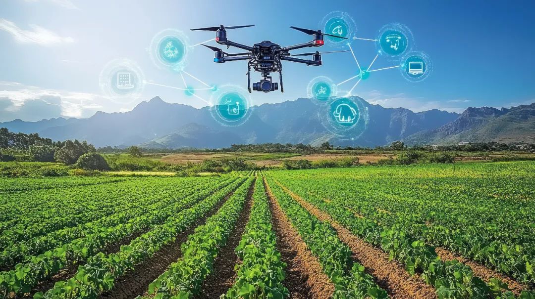 图片来源：视觉中国