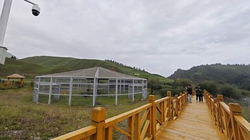 祁连山国家公园野生动物救护繁育站。新京报贝壳财经记者 李学浩 摄