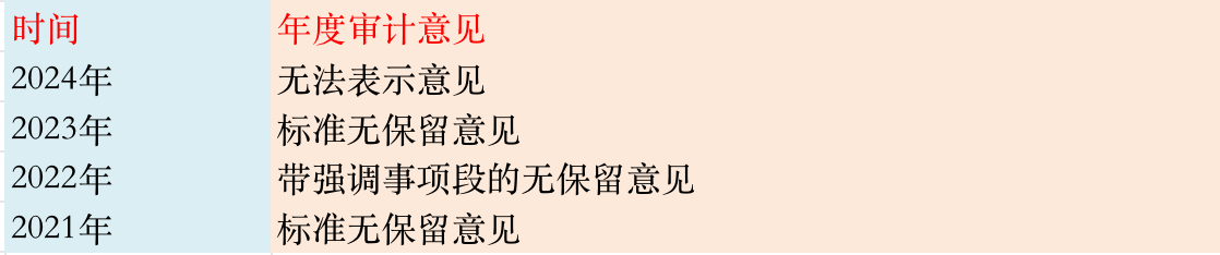 年度审计意见 图:界面新闻编制