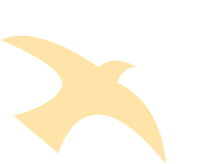 宫内镜怎么进入子宫阴道内镜精准定位活检：小创伤，解决子宫内膜大疑问_https://www.jmylbn.com_新闻资讯_第1张