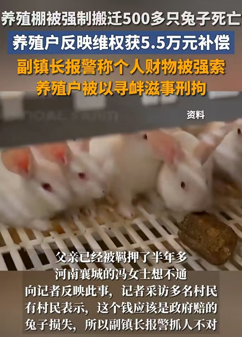 ▲2024年7月，河南许昌襄城县山头店镇一养殖户接到镇政府的限期拆除通知，此后引发了一系列纠纷。图/荆楚网视频截图