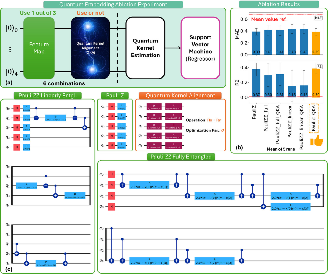 （来源：Advanced Science）