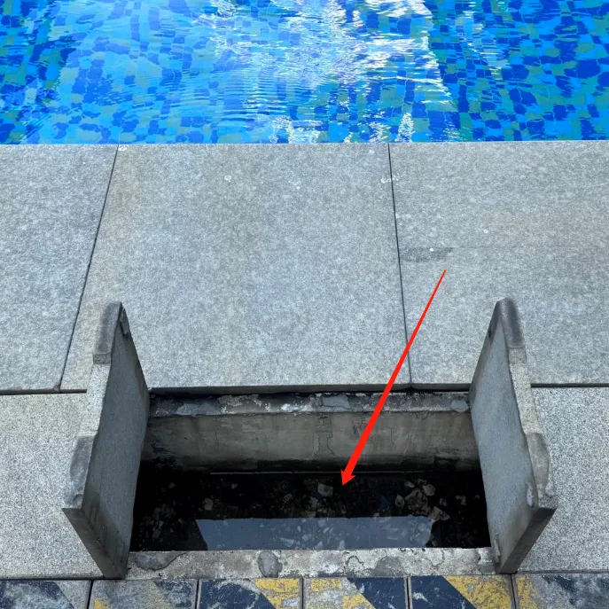 泳池周边容易孳生蚊虫的地方