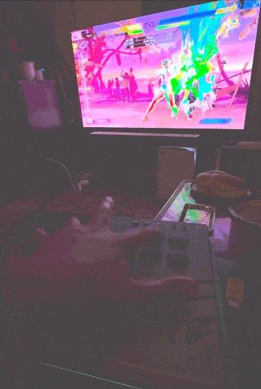 原视频很暗，也没看到另一只手