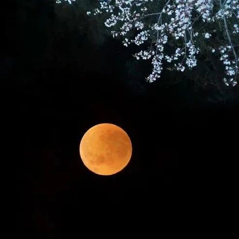 七言｜见招拆招