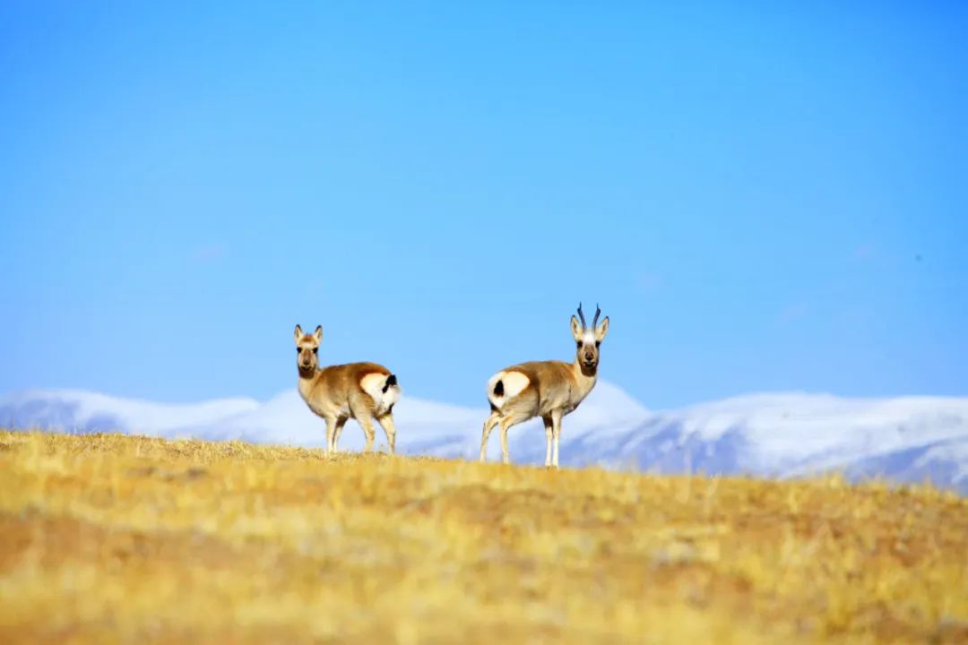 图片来源：自然资源部