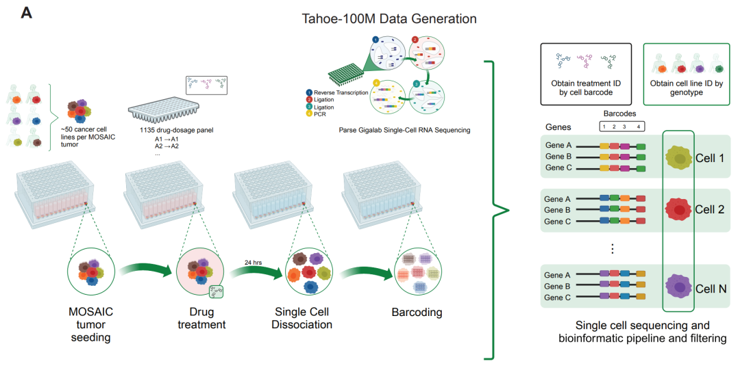（来源：Tahoe-100M 论文）